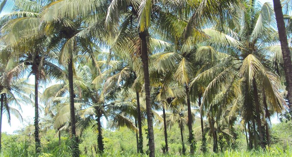 Sathwik Homestay, Sirsi 2
